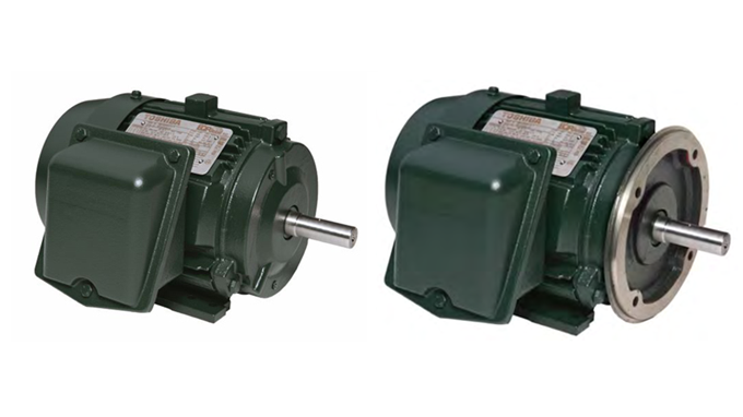 NEMA EQP Global SD motor Archives - Toshiba