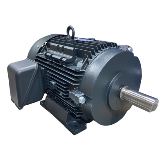 GENERAL PURPOSE MOTOR Archives - Toshiba
