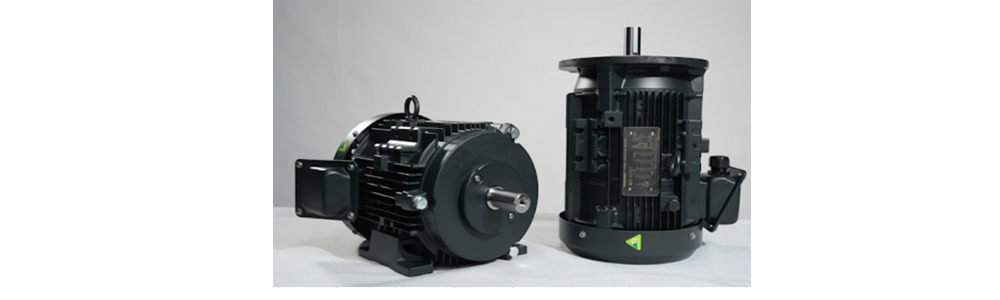 EQP Global IEC Motors (Frame size 80 to 225) Archives - Toshiba