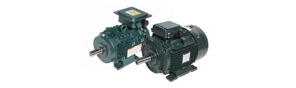 EQP Global IEC Motors (Frame size 80 to 225) Archives - Toshiba